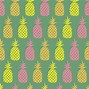 Image result for Loopy Case Pineapple