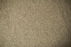 Image result for Coarse Texture Rug