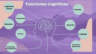 Image result for Funciones Cognitivas