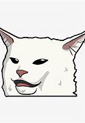 Image result for Bold Cat Meme