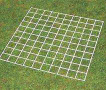 Image result for Blank 100 Square Grid Paper