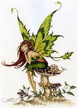 Image result for Mythical Creatures Fairies