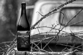 Image result for Fossil Fawn Pinot Gris