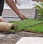 Image result for Laying Artificial Grass On Soil