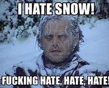Image result for Early Snow Meme