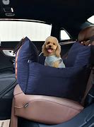 Image result for Dog Bed for Car