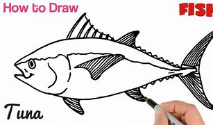 Image result for Tuna Fish Sketch