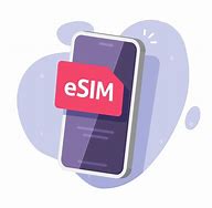 Image result for Esim Icon