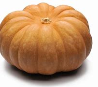 Image result for Real Squash
