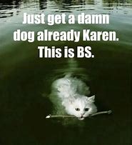 Image result for Karen Cat Memes Funny