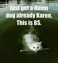 Image result for Karen and White Cat Memes