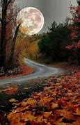 Image result for Beautiful Fall Scenery Moon
