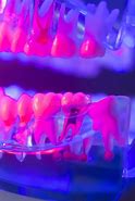Image result for Teeth Jawbone