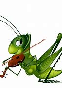 Image result for Cricket Insect Drawing Cartoon