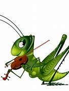 Image result for Cricket Bug Drawing