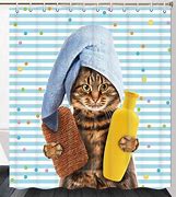 Image result for Funny Cat Shower