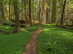 Image result for Clover Point Park, BC