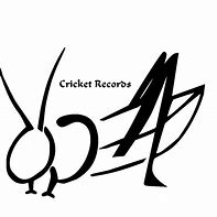 Image result for Wired Cricket Thing