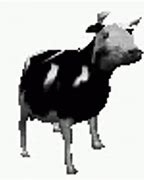 Image result for Dancing Polish Cow Meme