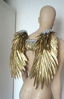 Image result for Gold Wings Costume