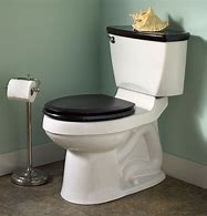 Image result for Bathroom Toilet Seat