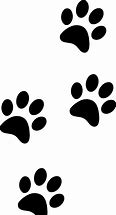 Image result for Black Panther Footprints