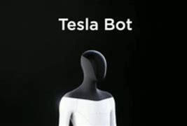 Image result for Teslo Robot