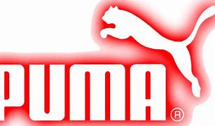 Image result for Puma AG