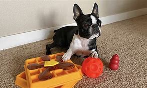 Image result for iPhone Toy for Dog