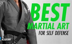 Image result for Best Martial Arts