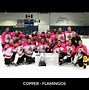 Image result for Pwhl Champion Trophy