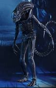 Image result for Aliens Xenomorph Warrior