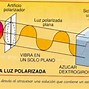 Image result for acomerido