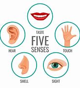 Image result for Five Senses Chart