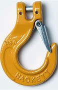 Image result for Chain Sling Hooks