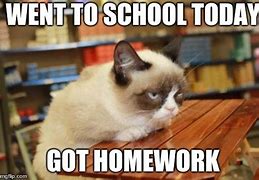 Image result for Grumpy Cat School Homework Memes