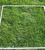 Image result for 200 Square Meters of Land