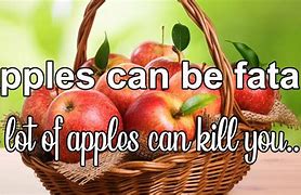 Image result for Beach Apple's Poisonous