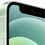Image result for iPhone 12 Mini Back Green