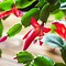 Image result for Colorful Cactus Plants