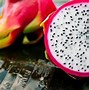 Image result for Exotic Fruits
