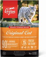 Image result for Grain Free Cat Dry Food Large Bag