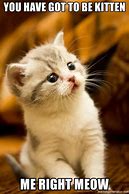 Image result for Cute Kitty Memes