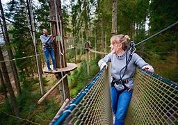 Image result for Unique Attractions Near Me