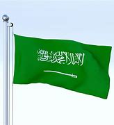 Image result for Apple Saufi Flag