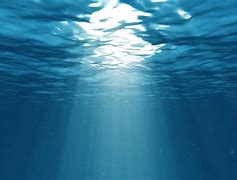 Image result for High Resolution Underwater Wallpaper