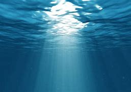 Image result for Underwater Sea Pictures HD