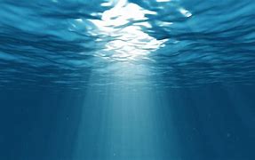 Image result for Underwater Background Vertical