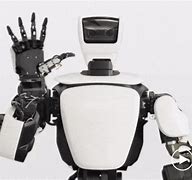 Image result for Humanoid Programmable Robot