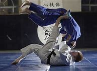 Image result for Sambo vs Judo